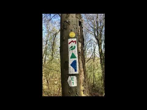 Journée Nationale 2019 Foto-Eindrücke der Strecken 13 + 23 KM