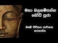 Download Maha Bala Sampanna Ashirwadha Bodhi Puja මහා බලසම්පන්න ආශිර්වාද බෝධි පූජාව Mp3 Song