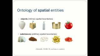 Language and the structure of thought | Anna Papafragou (HSP 2026)