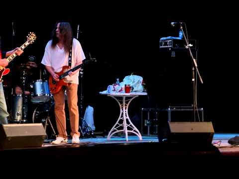 На концерте «Чижа» воронежцы устроили дискотеку в Театре оперы и балета