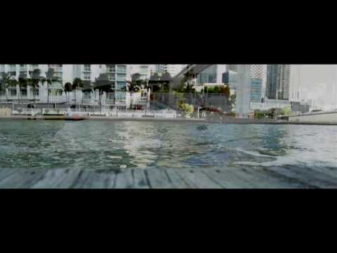 YR Wayne - I Told You (Official Music Video)