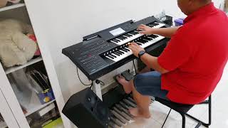 Video thumbnail for Canon Rock - YAMAHA ELC-02 by siemens6688