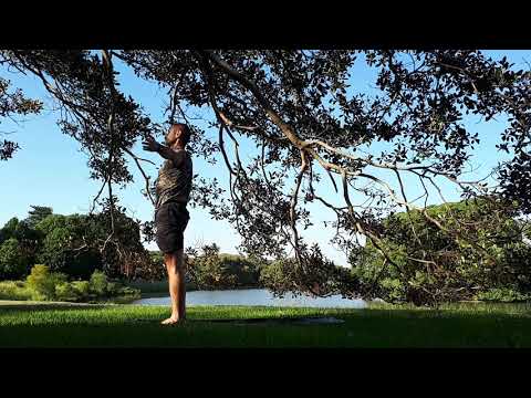 Yoga under the fig tree