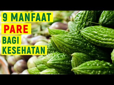 , title : '9 Manfaat Pare Bagi Kesehatan | Baik untuk diabetes'