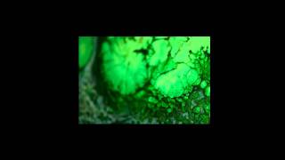Amon Tobin - Shut Down