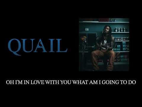 Quail - So Into You (Lyric Video)