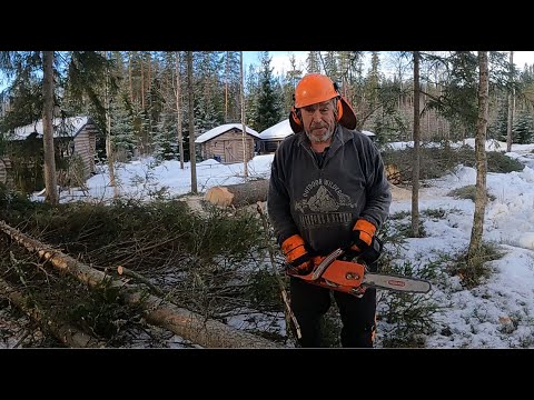 Oppi-isän mielipide Dolmarista