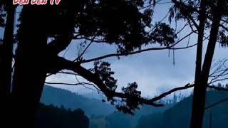 Download lagu Wizz baker (Baik-Baik saja Liryk) Sumpah bikin sesak mp3