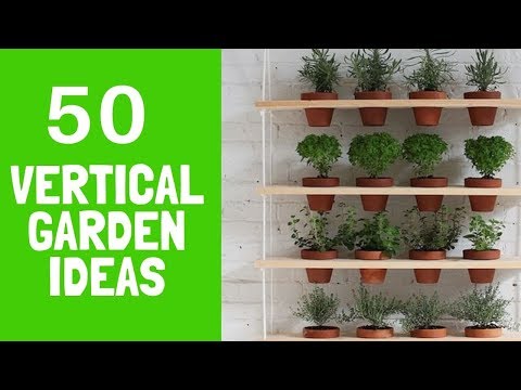 50+ Cool Outdoor Vertical Garden Ideas