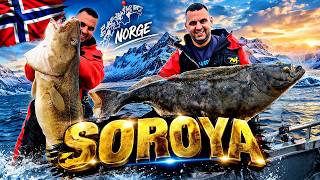 Arctic fishing | Soroya - trophy fish MECCA! #halibutfishing #halibut #norwayfishing #codfishing