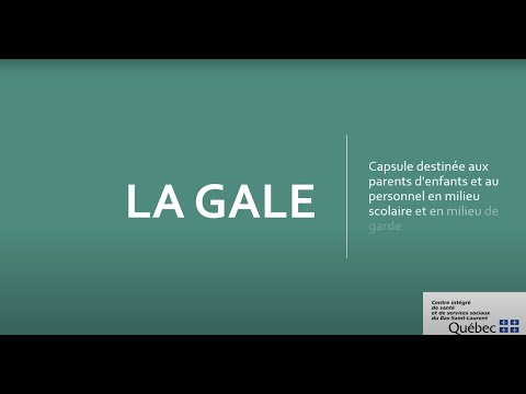 La gale - Capsule d'information