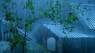 (No Ads) Sleep Faster in 3 Minutes 🌧️ Extreme Rainstorm & Thunder Sounds on Tin Roof