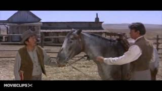 THE STRAWBERRY ROAN   MARTY ROBBINS