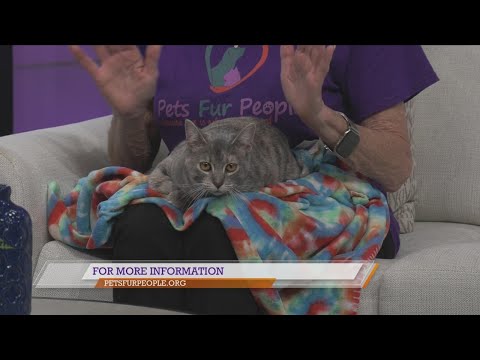 Pets Fur People: Meet Julie - YouTube