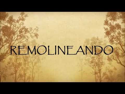 Remolineando - Miel San Marcos