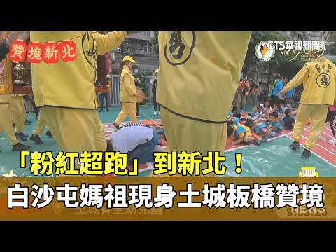 「粉紅超跑」到新北！　白沙屯媽祖現身土城板橋贊境