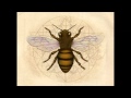 Stung In June Patrick Sellars