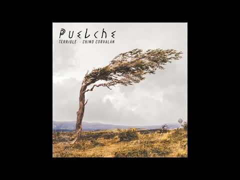 05- Terrible · Chino Corvalán - Por mi y por todos mis compañeros (Ft. Dj Web)