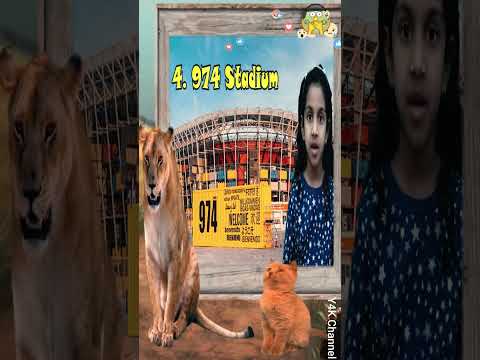 8 Great stadiums of Qatar | Qatar Foot ball stadiums #shorts #qatarfootball