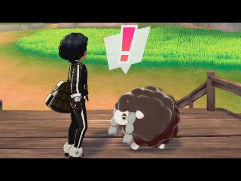 Beating Pokemon's Isle of Armor DLC Using Only Shiny Wooloo