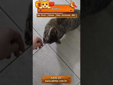 Vídeo de Agatha