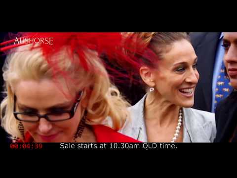 2017 Gold Coast March Yearling Sale Day 2