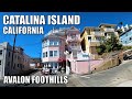 👟🏝  CATALINA ISLAND, CALIF : AVALON FOOTHILLS