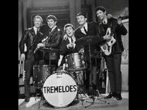 Tremelos, Here Comes My Baby (1967)