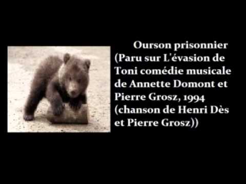 Video thumbnail for Ourson prisonnier