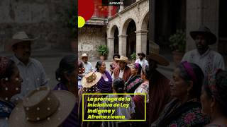 ⌛La prórroga de la Iniciativa de Ley Indígena y Afromexicana☝️#shorts
