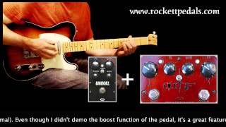 Video thumbnail for J Rockett Audio Designs WTF Fuzz by Mike Hermans