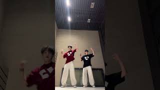 Download lagu EXO-sheep by lay #dance #exol mp3