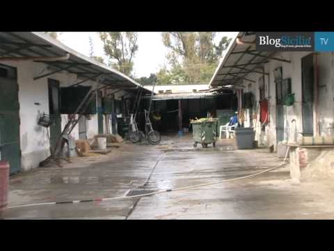 Ippica, ippodromo palermo a rischio chiusura