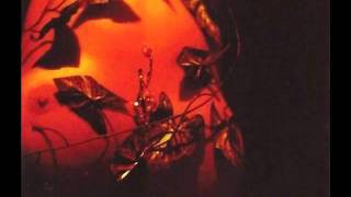 Sperm and honey (Good boys go to heaven) - Decadence