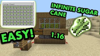 SIMPLE 1.16 ZERO-TICK SUGARCANE FARM TUTORIAL in Minecraft Bedrock (MCPE/Xbox/PS4/Switch/Windows10)
