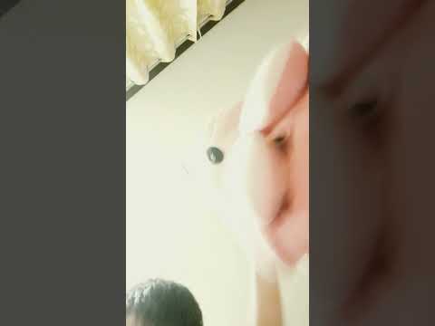 no no nono no no no no nono no nono no nono no nono no nono no nono no nono no nono no nono no nono