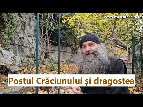 Postul Crăciunului, dragostea și bucuria de a vedea binele - p. Pimen Vlad