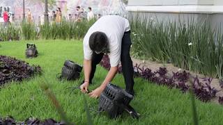 El MUSA se 'pintó' de colores por el Día Mundial de la Diversidad Sexual