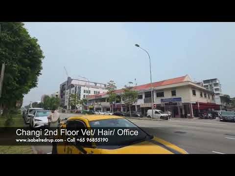 Changi 2nd Floor Vet/ Hair/ Office, Changi Road, Eunos / Geylang / Paya Lebar, 1,400 sqft, Shop / Shophouse For Rent, by Susan Prior, 500270422 - CommercialGuru.com.sg