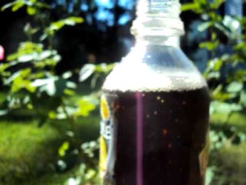 download lagu mp3 mp4 Coca Cola Ginger Ale Product, download lagu Coca Cola Ginger Ale Product gratis, unduh video klip Coca Cola Ginger Ale Product