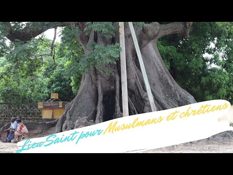 Pélerinage islamo-chrétien-animiste: le village de Diembéring (part1). Sénégal 2020 #8