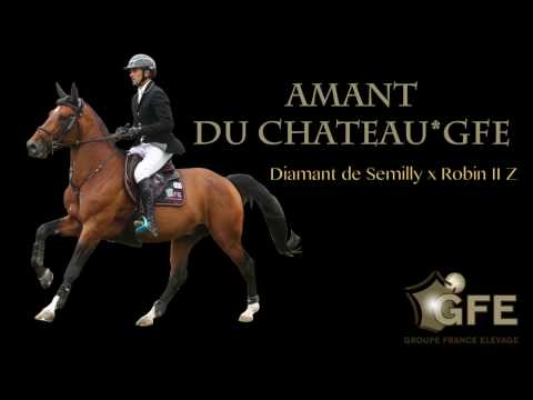 AMANT DU CHATEAU*GFE 2017
