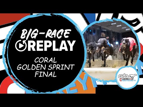 2023 Coral Golden Sprint Final - Droopys Good | Greyhound Race Replays | 2023 Big Finals