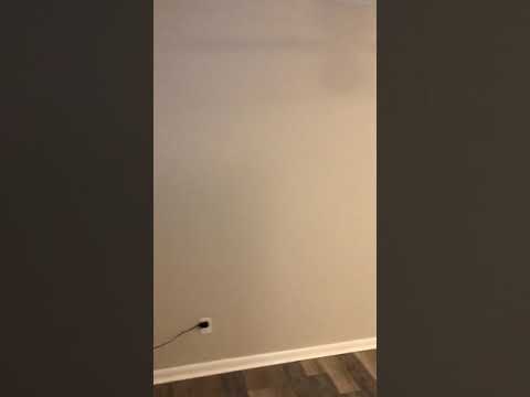 113 Purefoy Road - Video 2 of 2