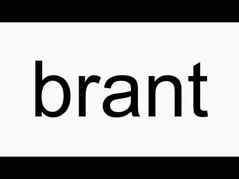 How to pronounce brant
