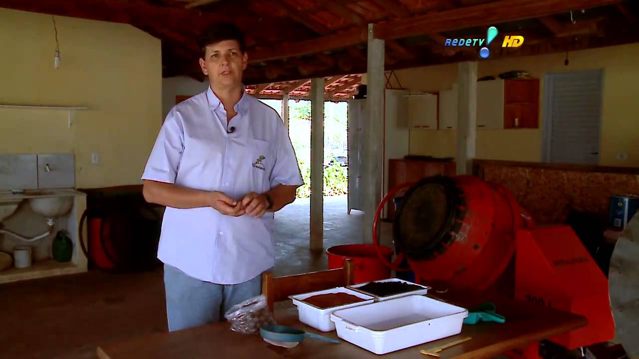 Conheça um exemplo de empreendedorismo verde de sucesso