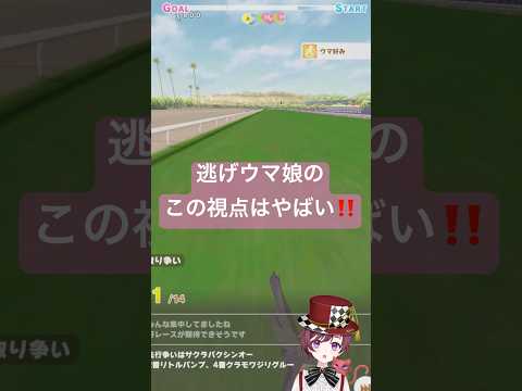 ウマ娘の魅力を徹底解説！新たな視点とは？