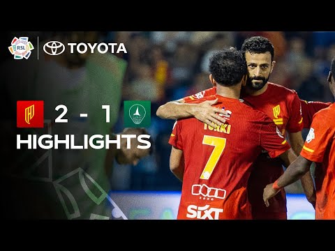 bg-highlight