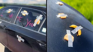 The Weirdest Hate Crime