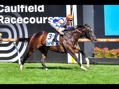 Moonee Valley - Timeform Ratings Horse Racing Tips! Saturday Racing Preview! (27/1/24)